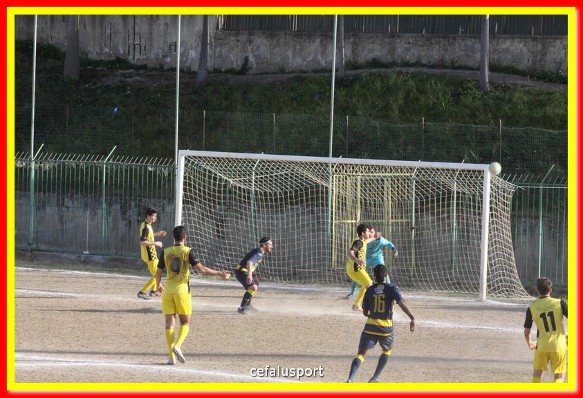 200301 Cepha_Mazara 112.jpg